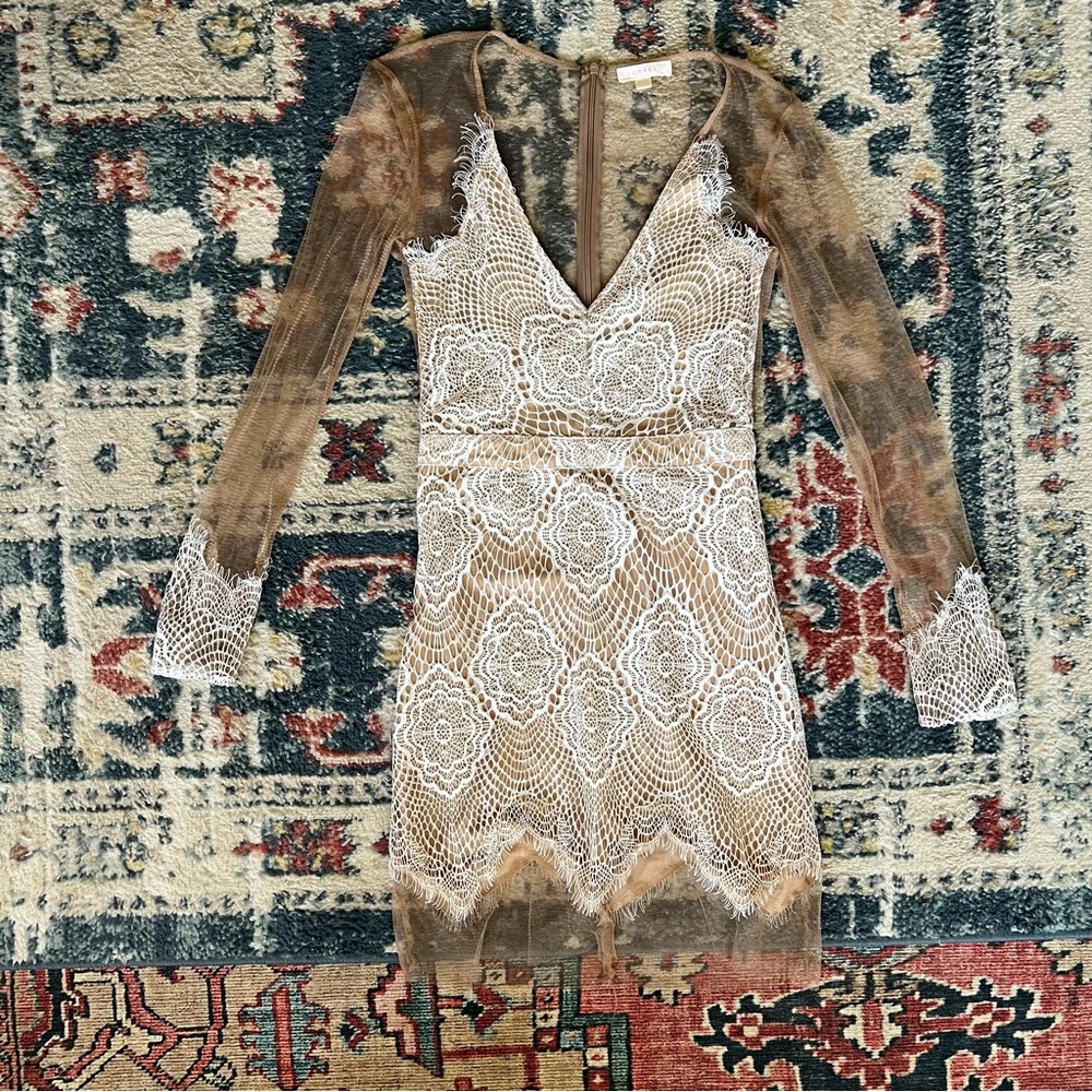 White Lace and Nude Mesh Dress